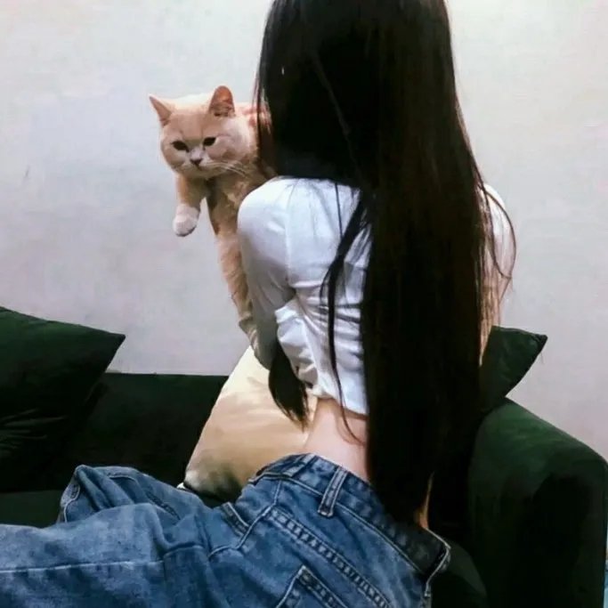 你们都是队长